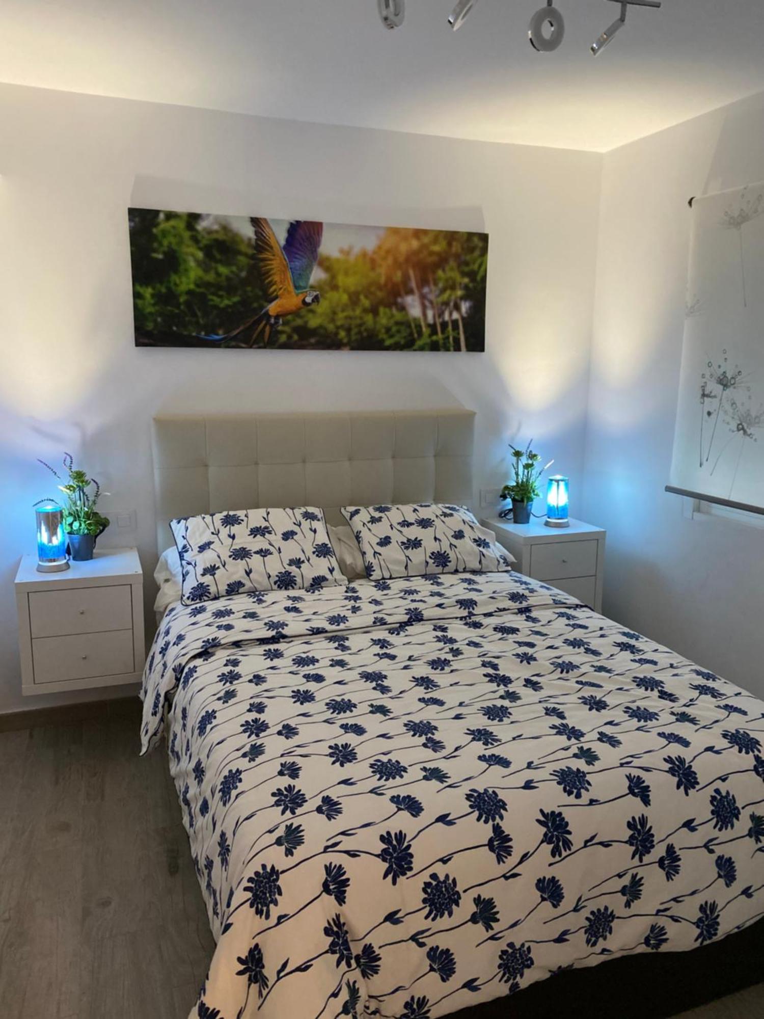 Apartamento Sevilla Enzo المظهر الخارجي الصورة